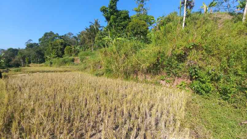 dijual tanah sumedang selatan
