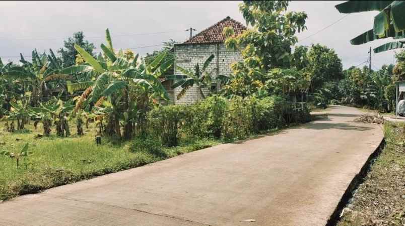 dijual tanah tambahagung