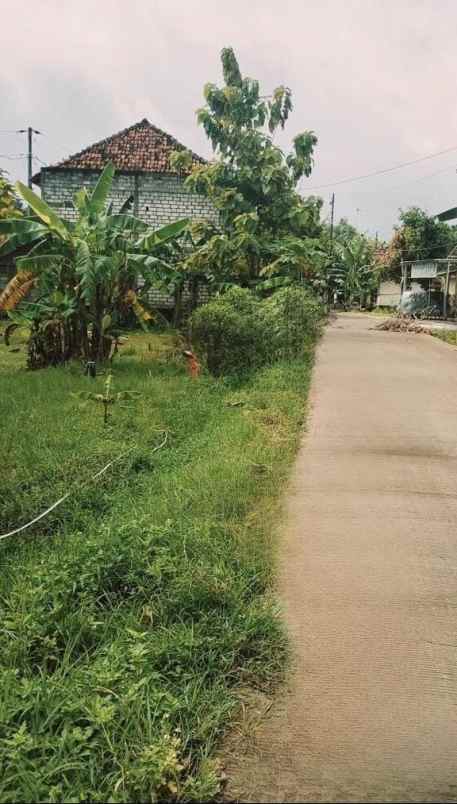 dijual tanah tambahagung