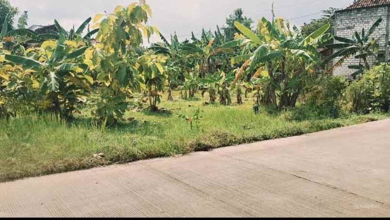 dijual tanah tambahagung