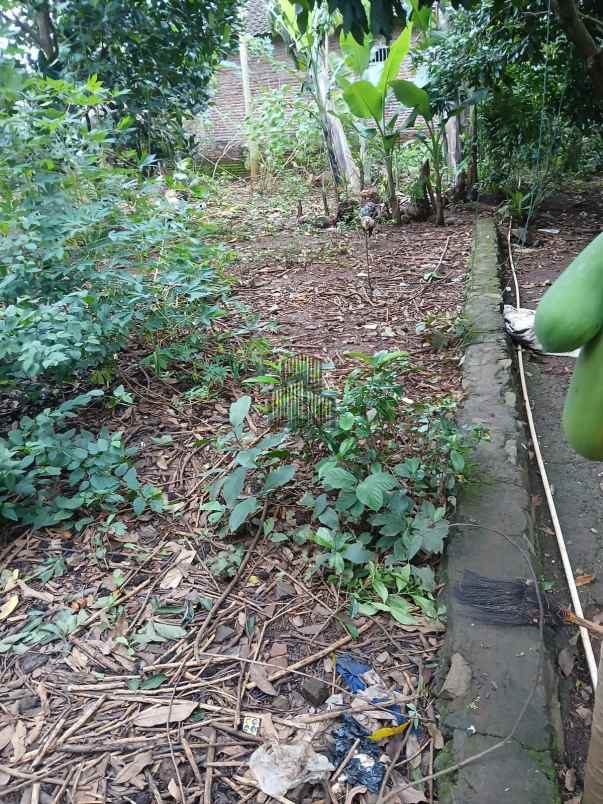 dijual tanah wonolopo