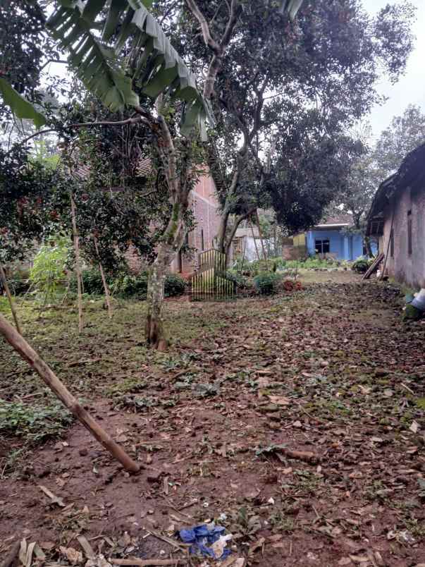 dijual tanah wonolopo