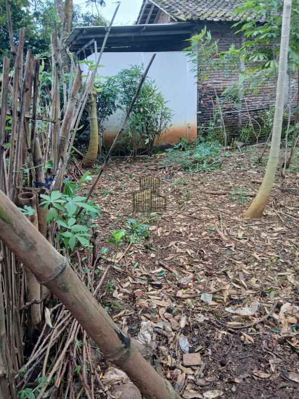 dijual tanah wonolopo