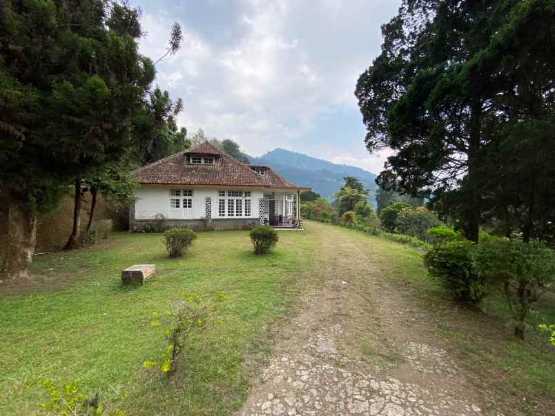 dijual villa dan tanah pinggir jalan di puncak pass