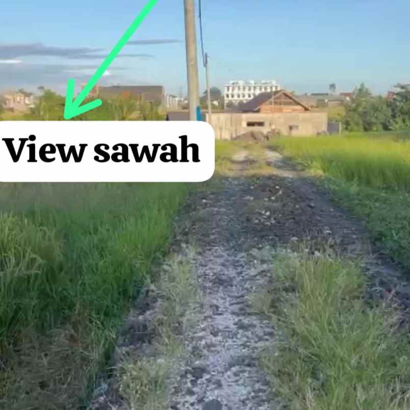 disewakan tanah seseh