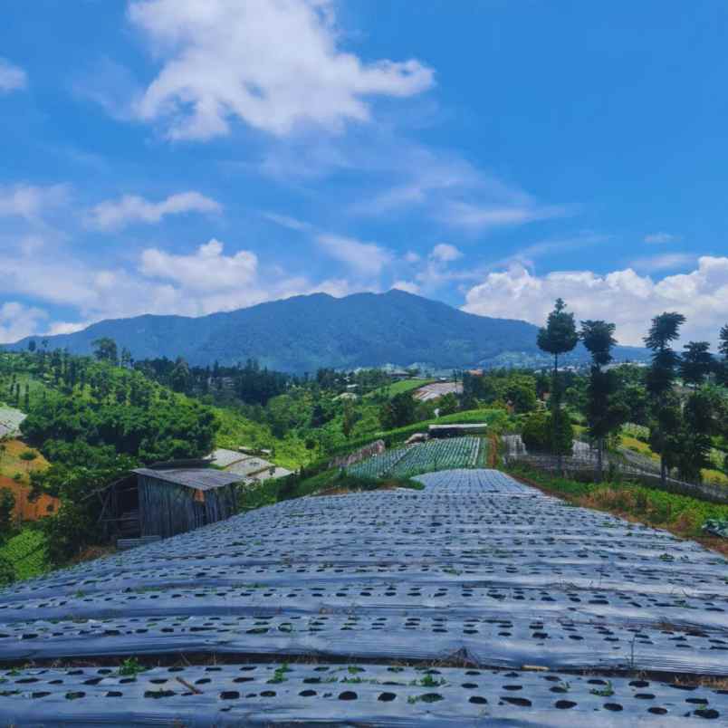 jual tanah murah strategis dan view indah dibandung