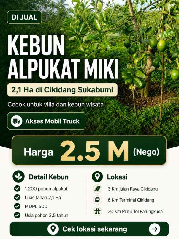 kebun produktif 2 1 hektare di cikidang