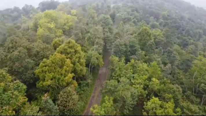 lahan kebun view bagus untuk perkebunan subang