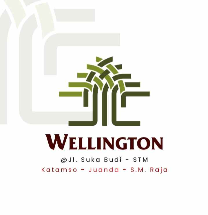 new project jual rumah villa baru komplek wellington