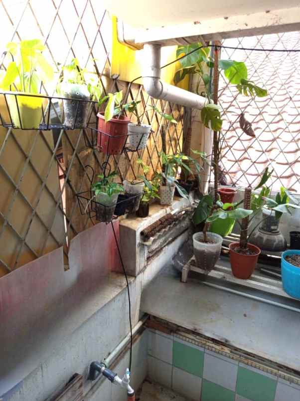 ruko hibrida raya 3lt 50m kelapa gading jakarta utara