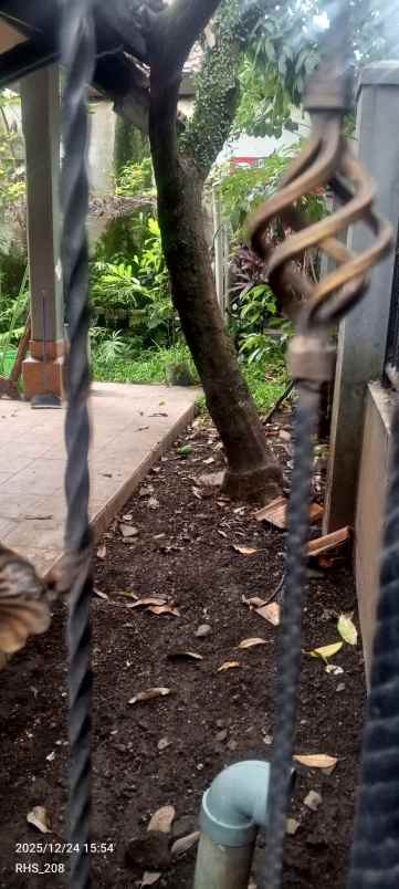 rumah dijual cepat dan murah