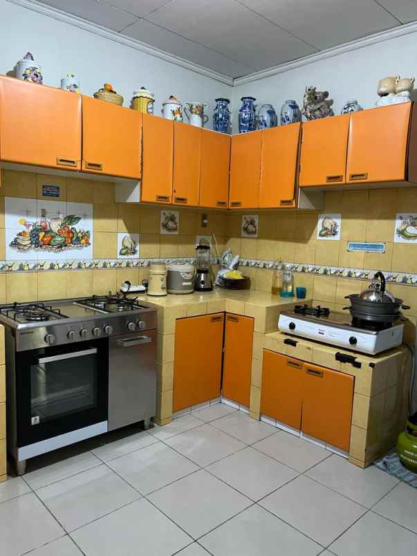 rumah kelapa puyuh kelapa gading