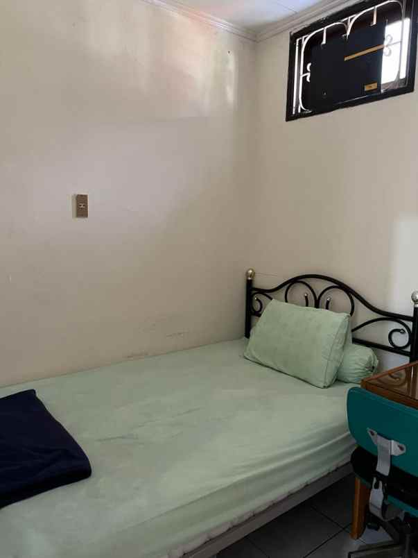 rumah kelapa puyuh kelapa gading