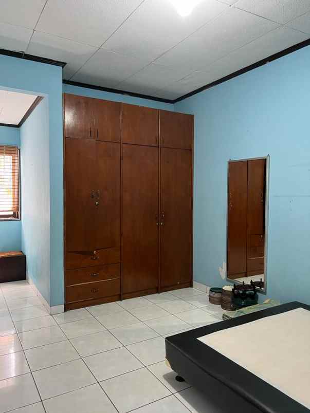 rumah kelapa puyuh kelapa gading