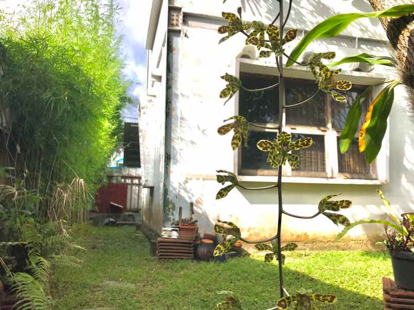 rumah klasik kluster pasadena sentul city