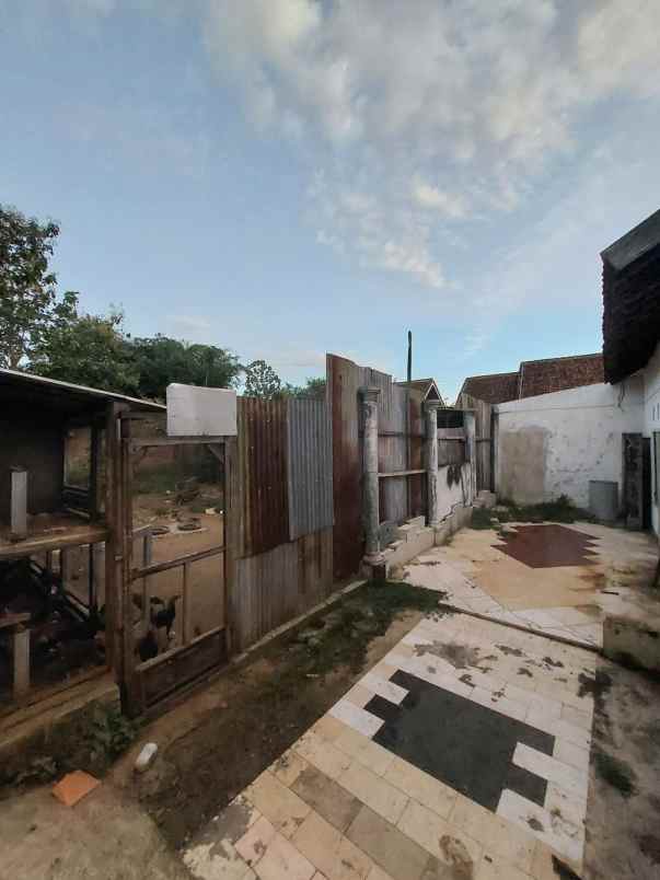 rumah luas dan mewah daerah singosari malang