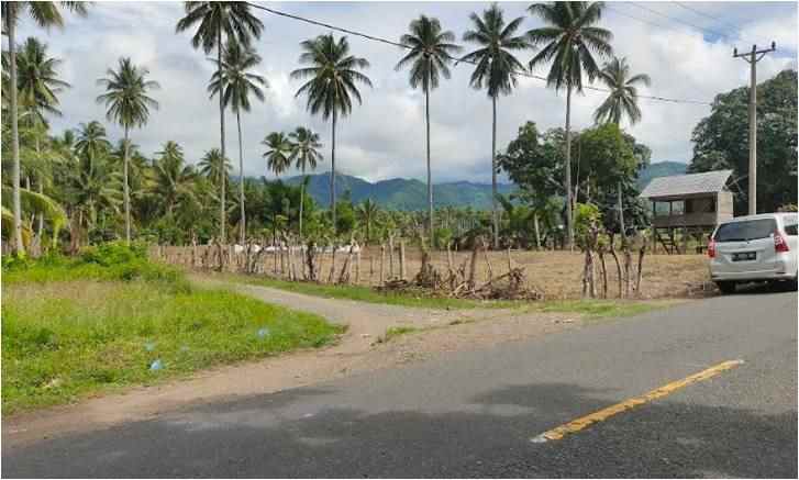 tanah 7060 m2 harga terjangkau cocok untuk perkebunan