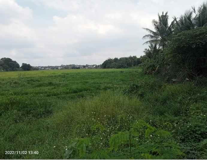 tanah 8 ha setu kab bekasi