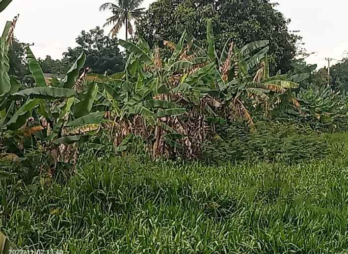 tanah 8 ha setu kab bekasi