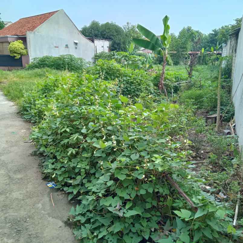 tanah bagus buat cluster di sukatani depok