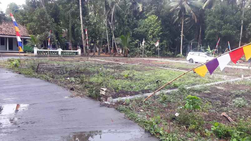 tanah boro 1 karangsewu galur