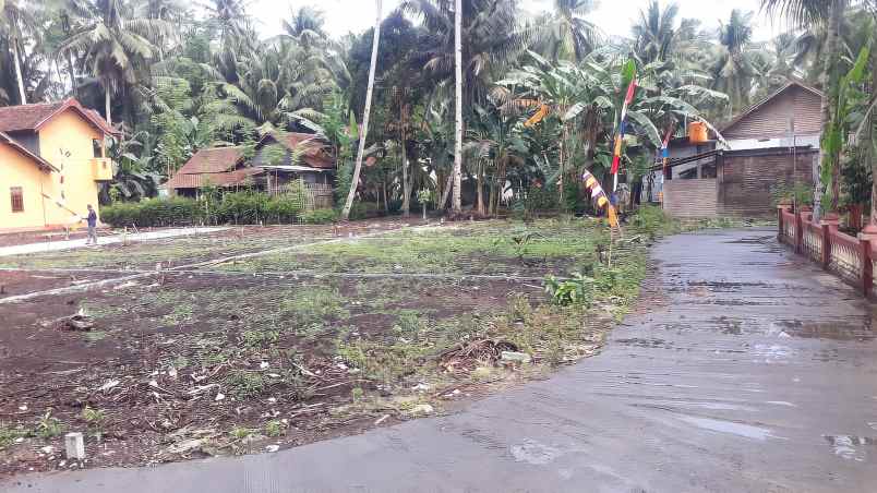tanah boro 1 karangsewu galur