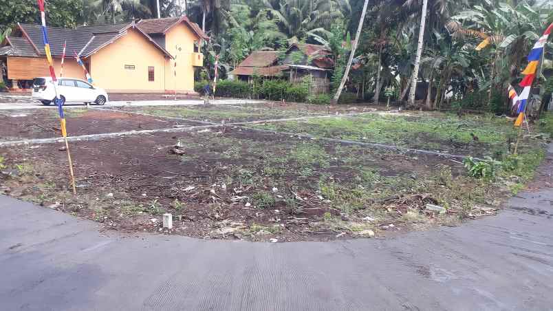 tanah boro 1 karangsewu galur