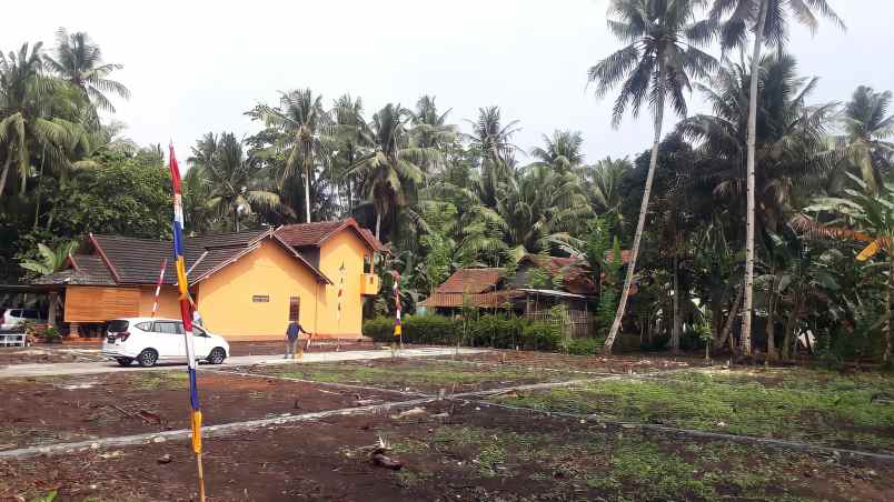 tanah boro 1 karangsewu galur