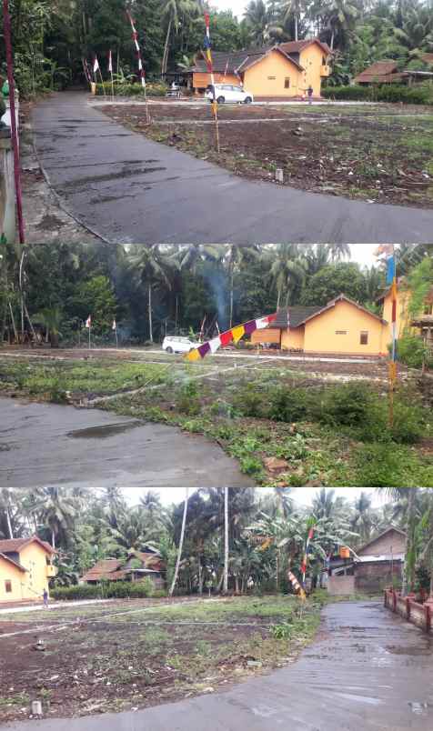 tanah boro 1 karangsewu galur