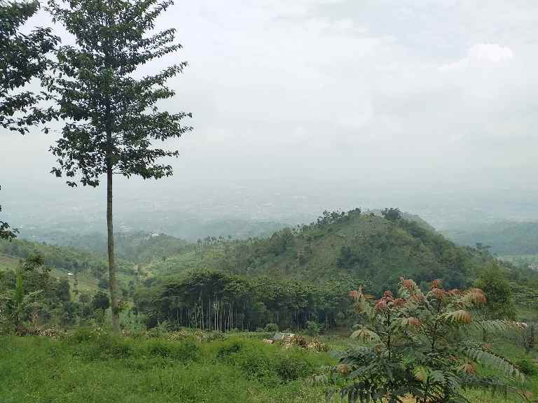 tanah cukang genteng ciwidey