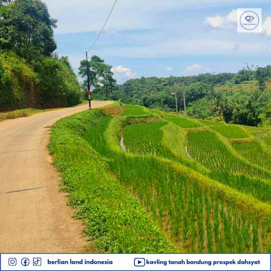 tanah desa cisomang kec cikalong