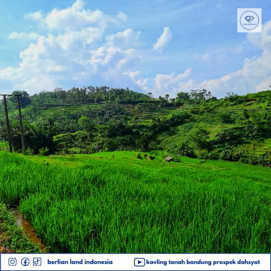 tanah desa cisomang kec cikalong