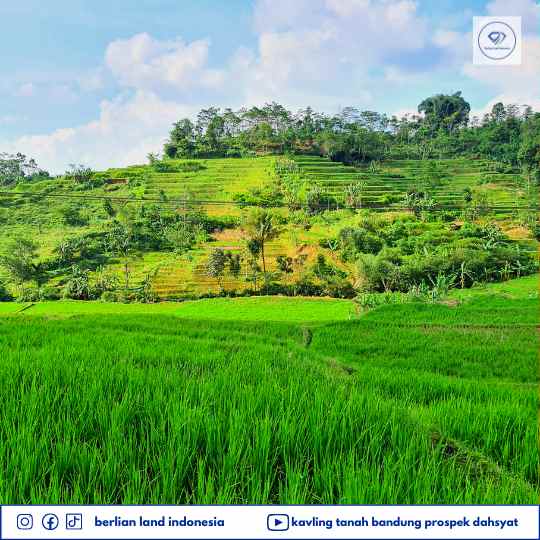 tanah desa cisomang kec cikalong