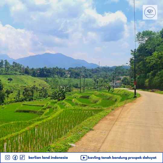 tanah desa cisomang kec cikalong