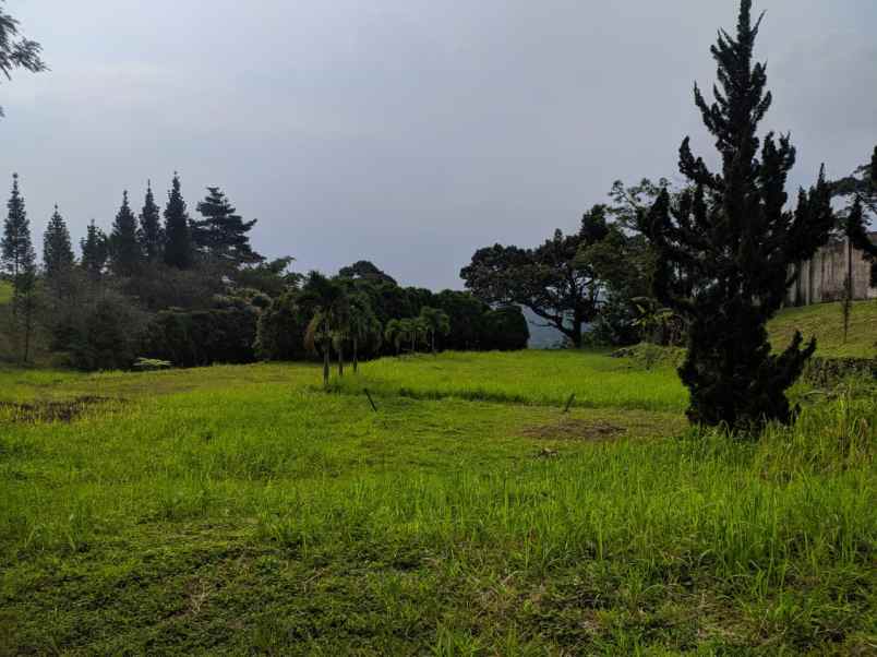 tanah jl bukit pelangi no 89 gn