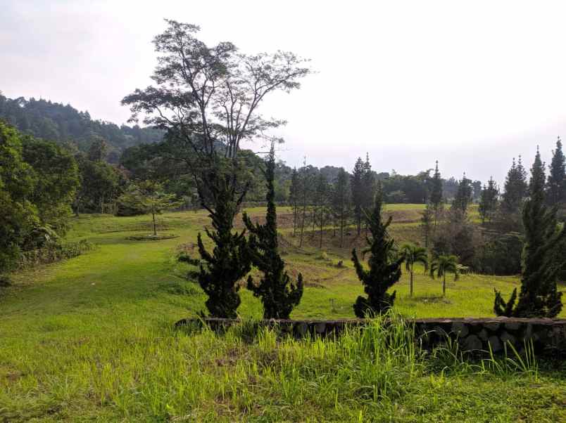 tanah jl bukit pelangi no 89 gn