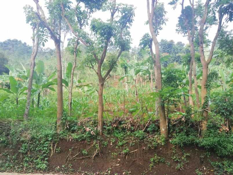 tanah jl panyandan manadalamekar