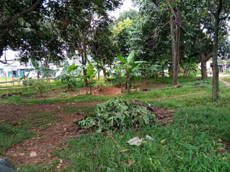 tanah jl raya kp sawah jati