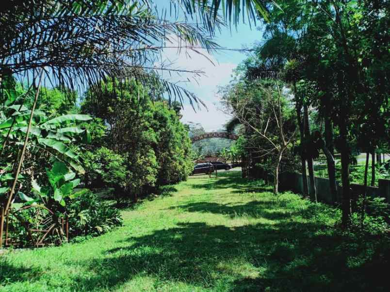 tanah jl raya solo tawangmangu