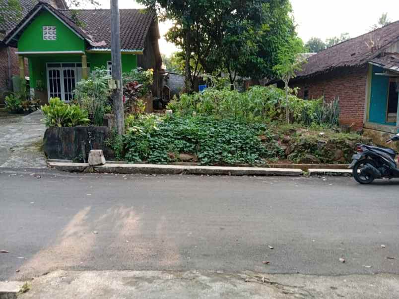 tanah kampung pinggir aspal
