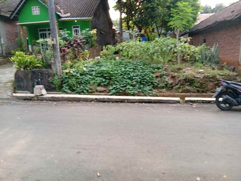 tanah kampung pinggir aspal