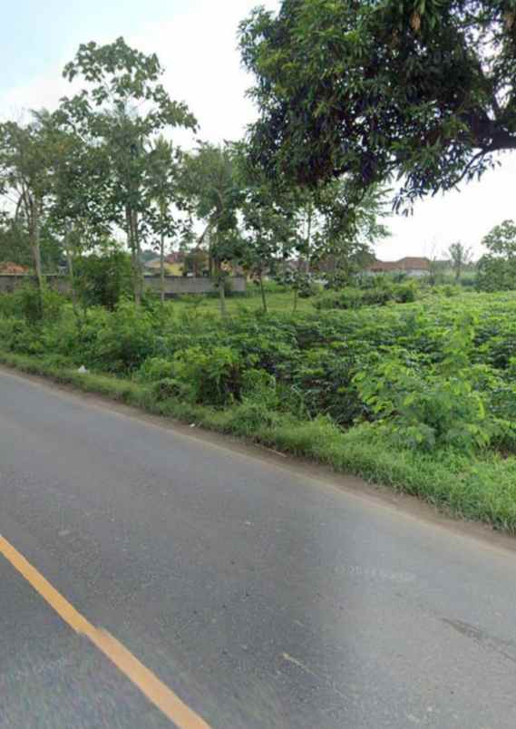 tanah lokasi strategis di gunung sugih lampung tengah