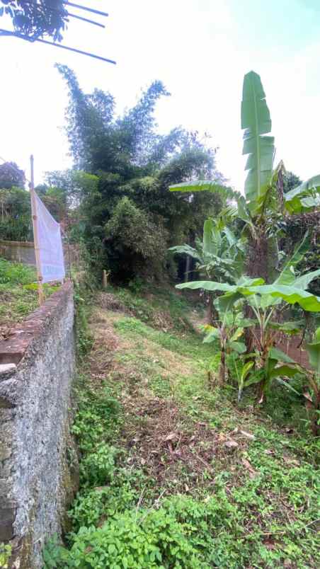 tanah murah 300 ribuan di cibaligo ngamprah