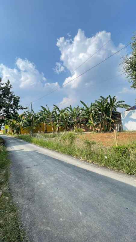 tanah murah bandar lampung