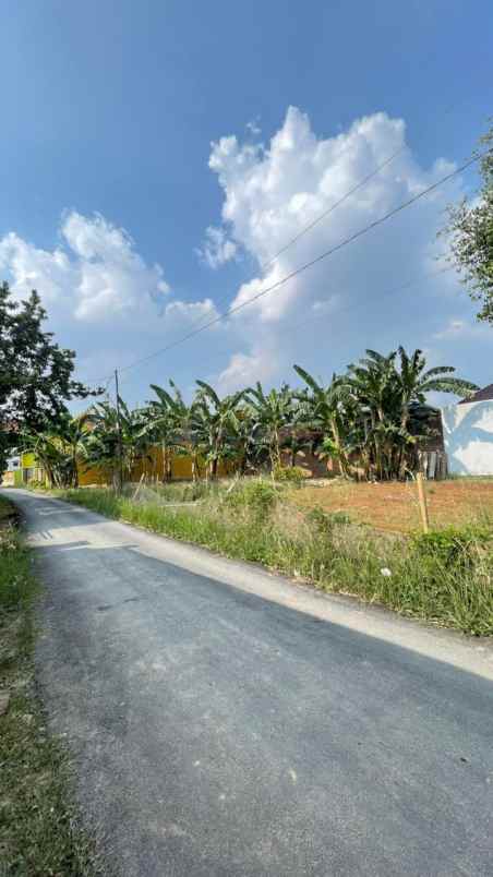 tanah murah bandar lampung