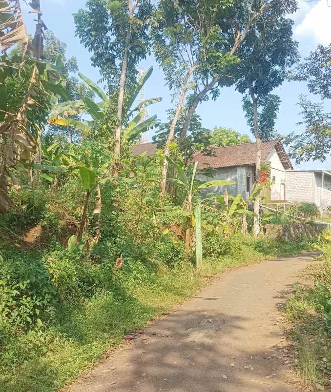 tanah pemukiman ngijo gunungpati semarang