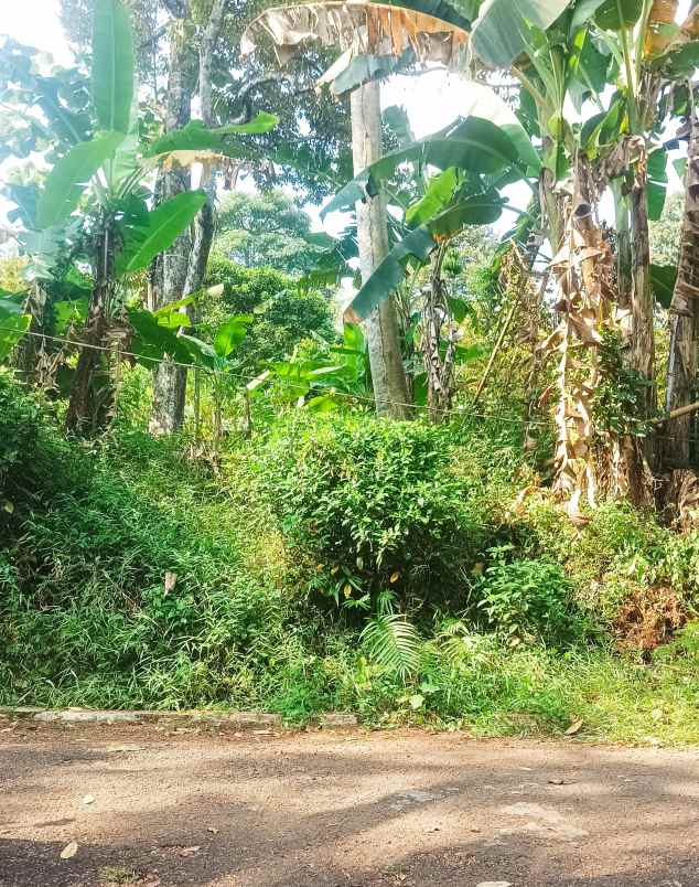 tanah pemukiman ngijo gunungpati semarang