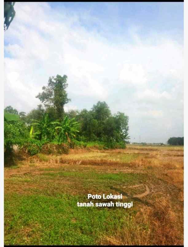 tanah perumahan strategis dekat kota cikampek