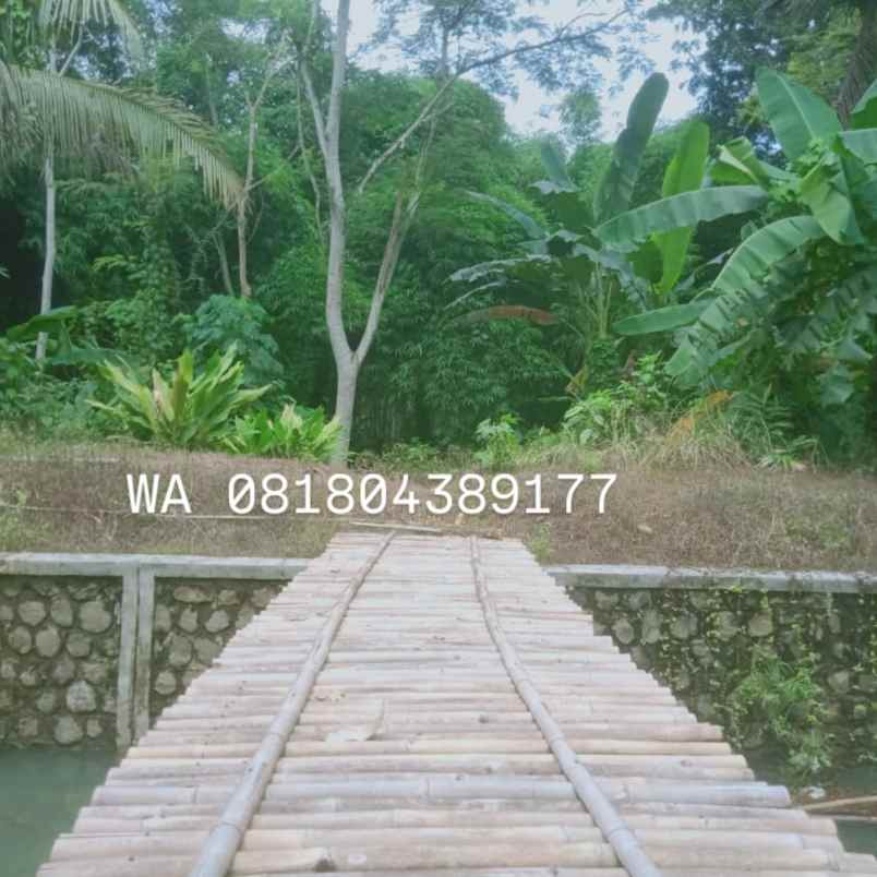 tanah shm kalidengen temon dekat bandara yia