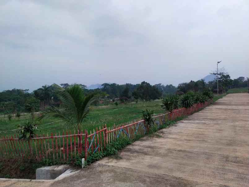 tanah shm murah pinggir jalan raya provinsi